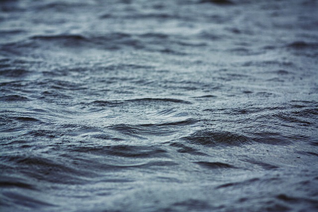 The case for nationalising the water and energy industries